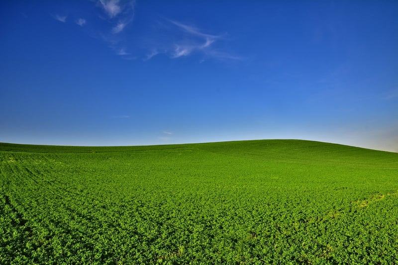 Minimalist Bliss